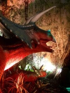 Jurassic exhibit at the Mystic Aquarium