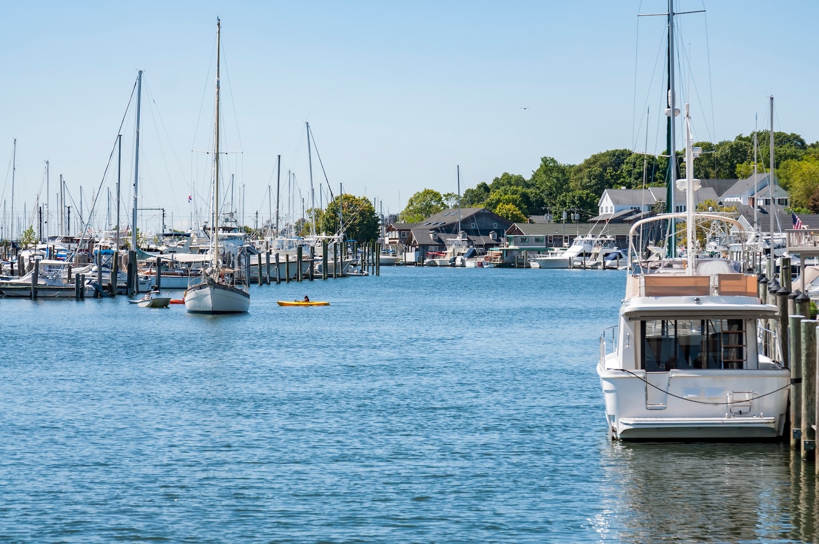 Mystic River Cruises - paddlers in the water at the marina at Mystic Seaport
